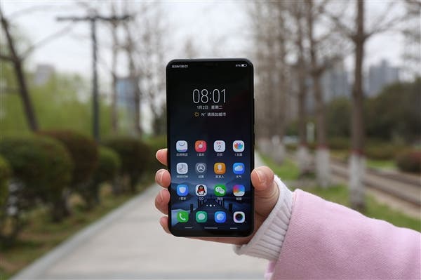 Vivo X21 UD